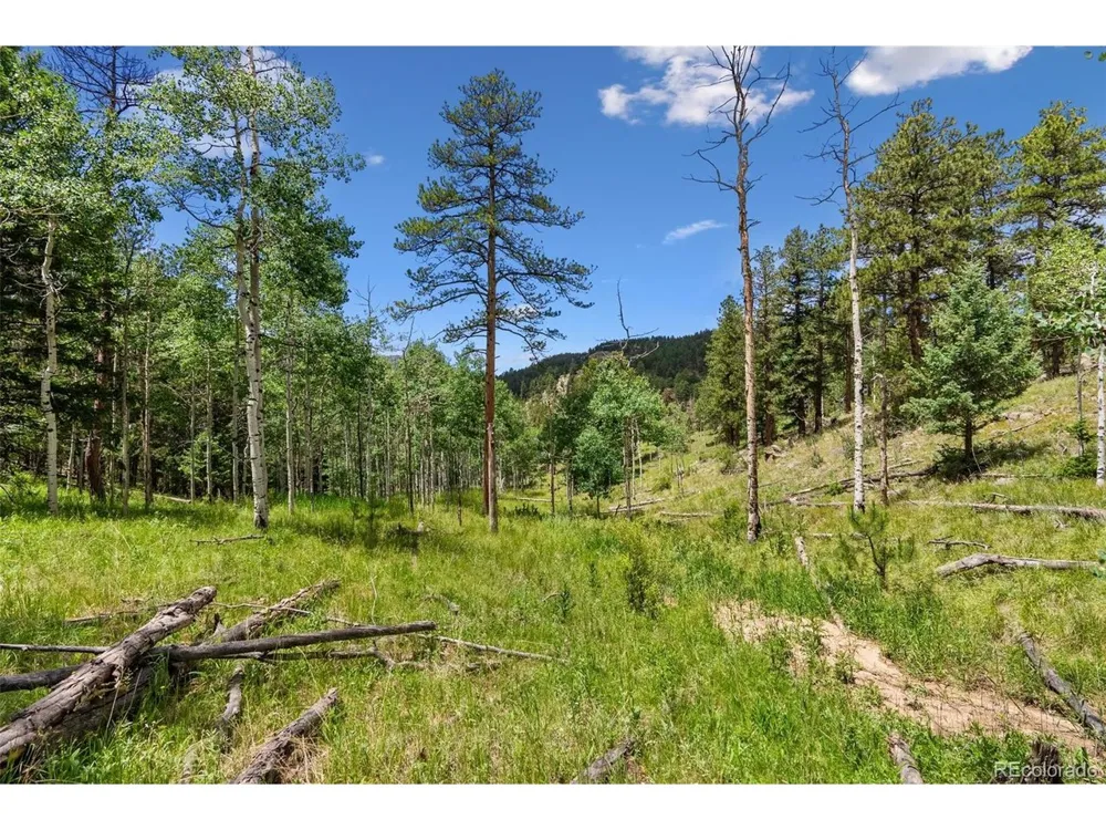 135 Linda Trail Bailey, CO 80421