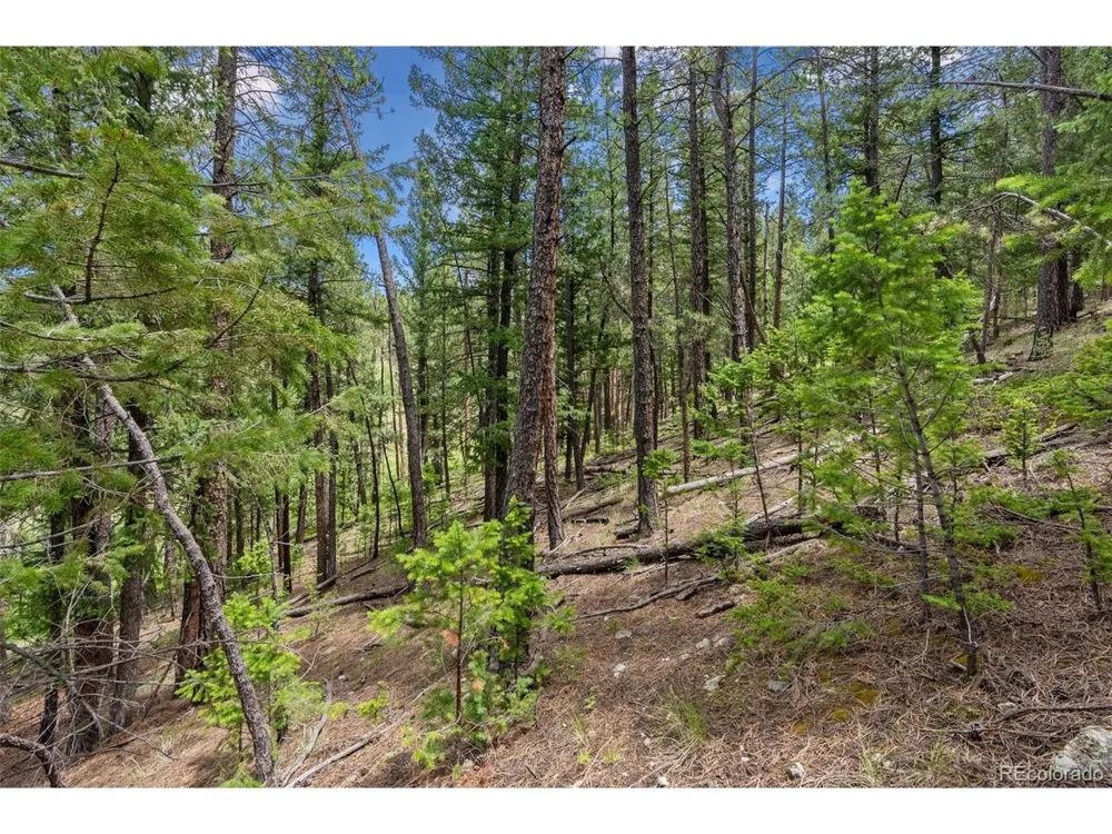 135 Linda Trail Bailey, CO 80421