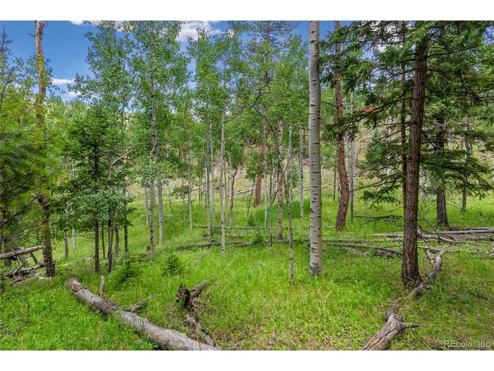 135 Linda Trail Bailey, CO 80421