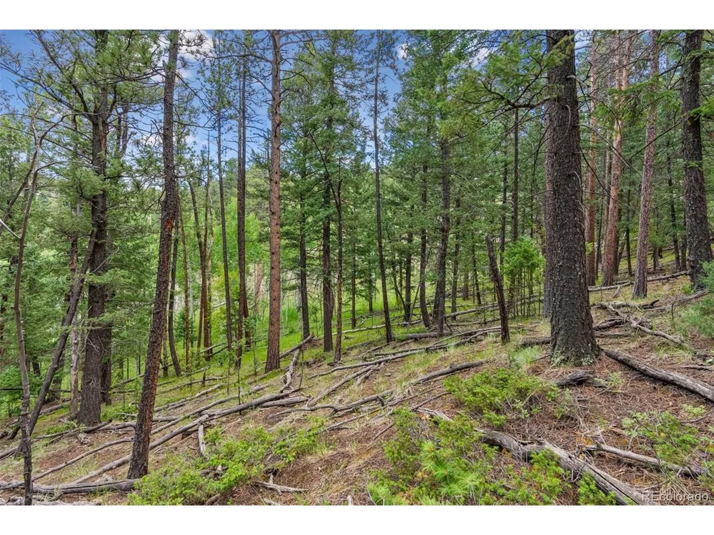 135 Linda Trail Bailey, CO 80421