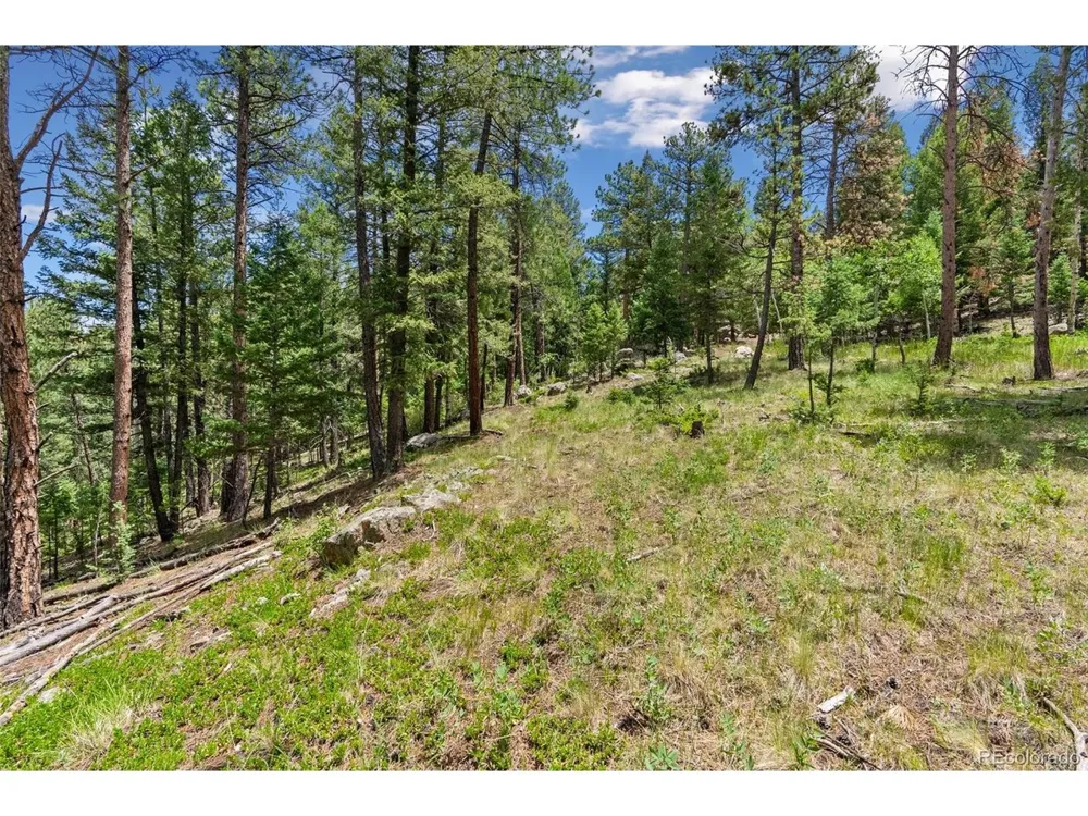 135 Linda Trail Bailey, CO 80421
