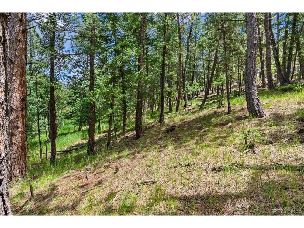 135 Linda Trail Bailey, CO 80421