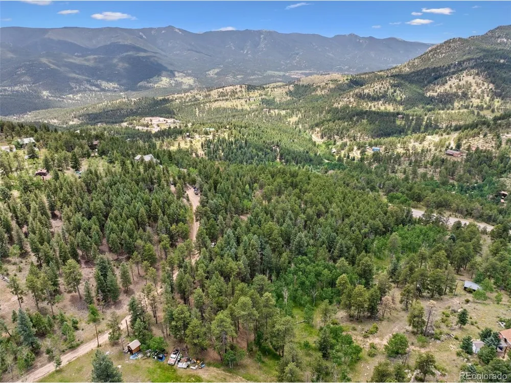 135 Linda Trail Bailey, CO 80421