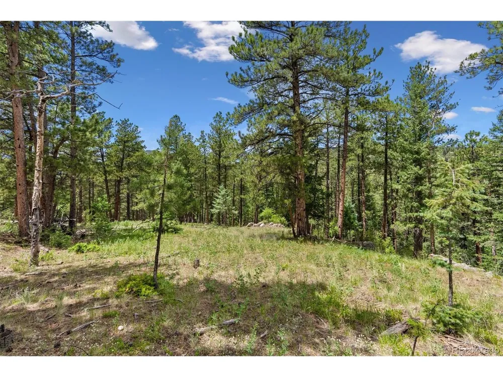 135 Linda Trail Bailey, CO 80421