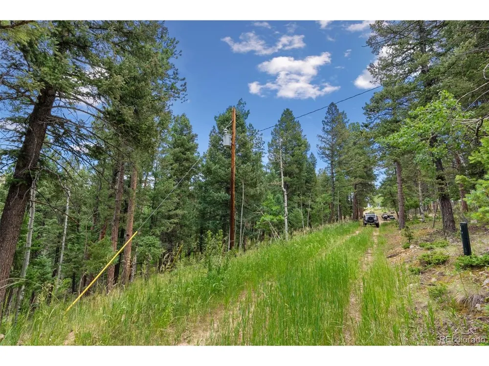 135 Linda Trail Bailey, CO 80421