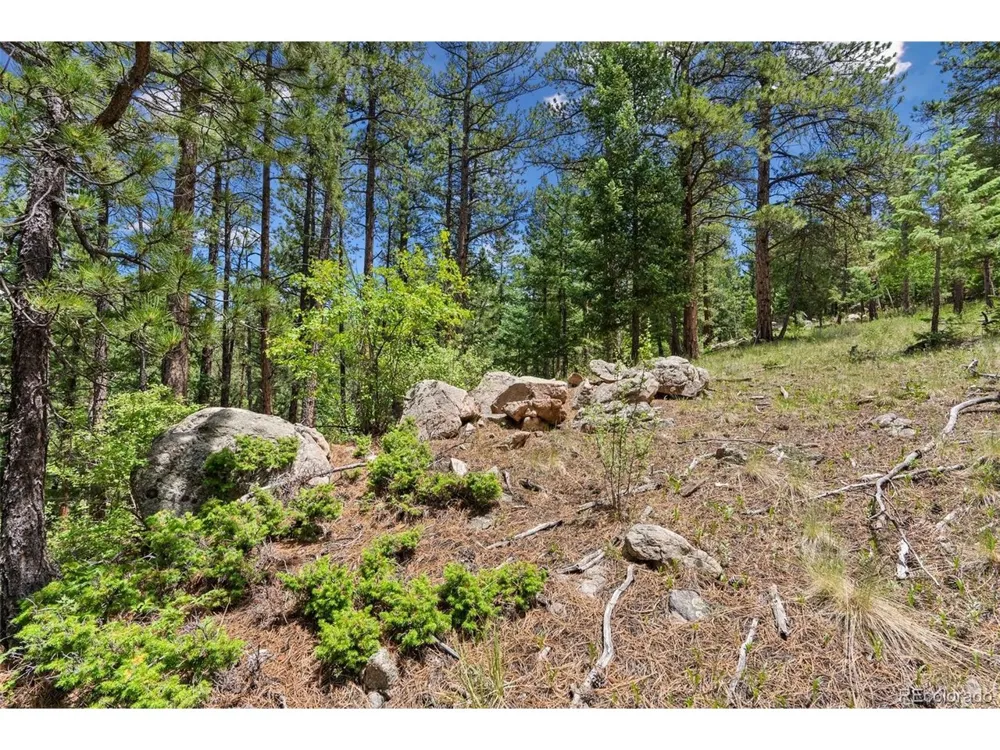 135 Linda Trail Bailey, CO 80421