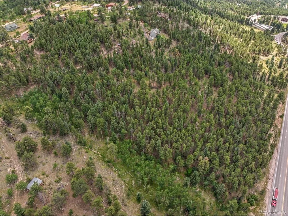 135 Linda Trail Bailey, CO 80421