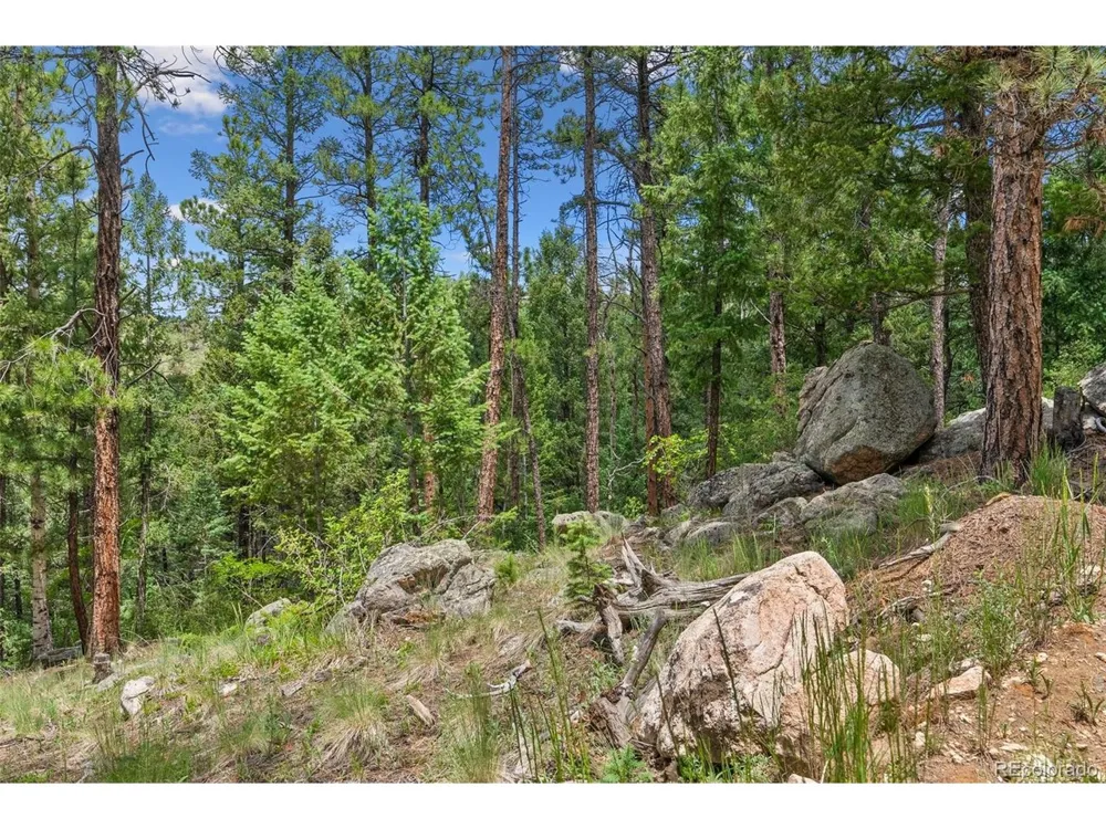 135 Linda Trail Bailey, CO 80421
