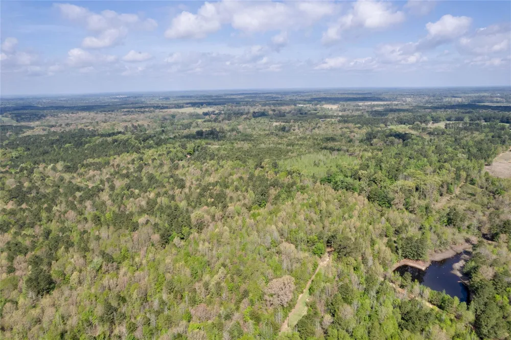 Jones Loop Gilmer, TX 75644
