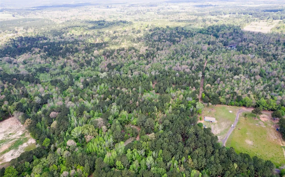 Jones Loop Gilmer, TX 75644