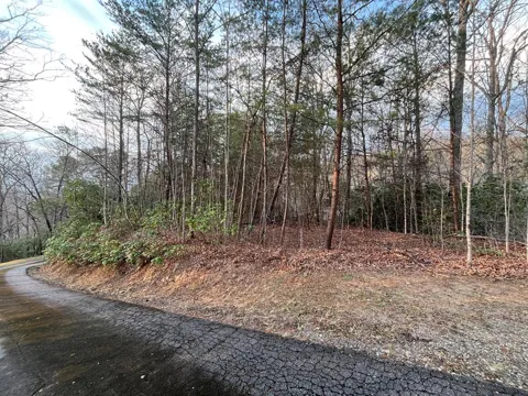 Canvasback Ct
