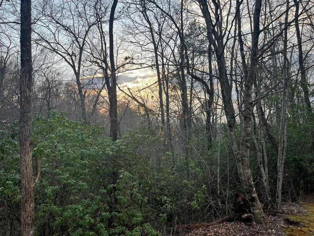 Canvasback Ct Whittier, NC 28789