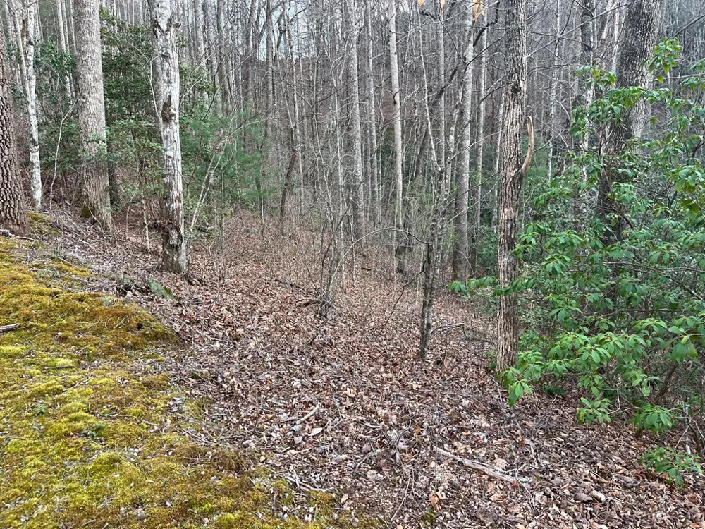 Canvasback Ct Whittier, NC 28789