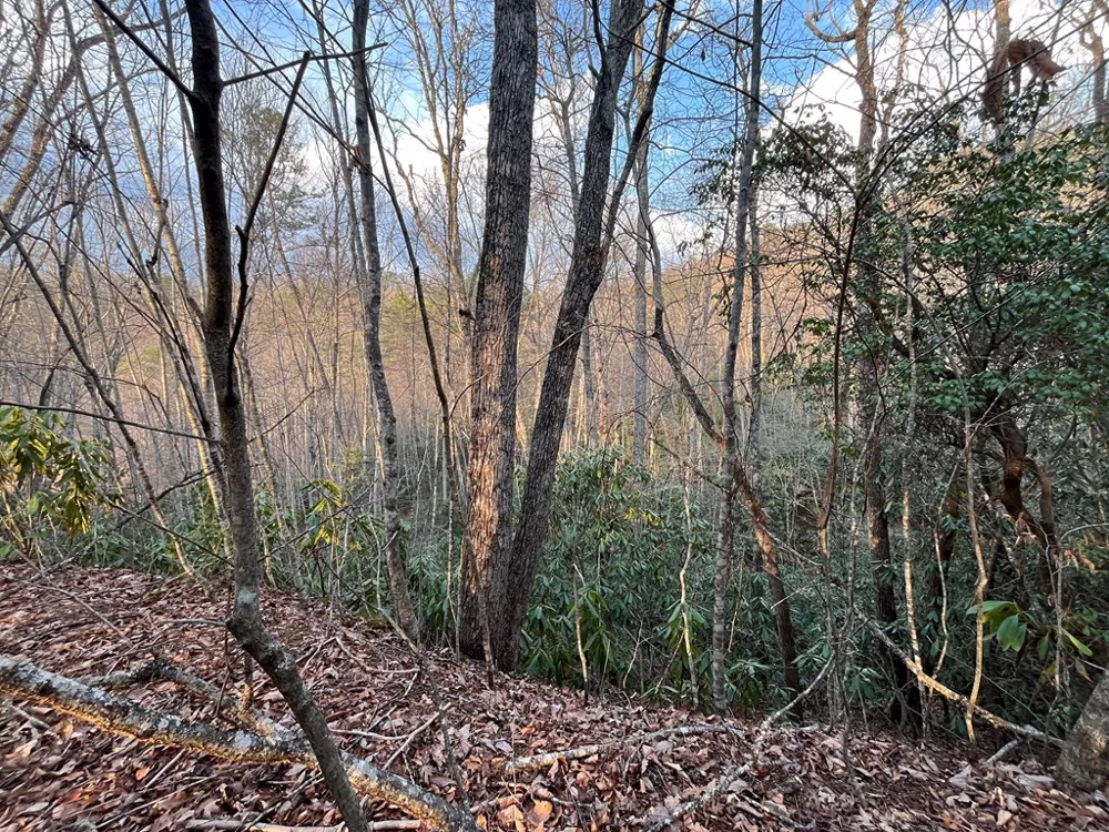 Canvasback Ct Whittier, NC 28789
