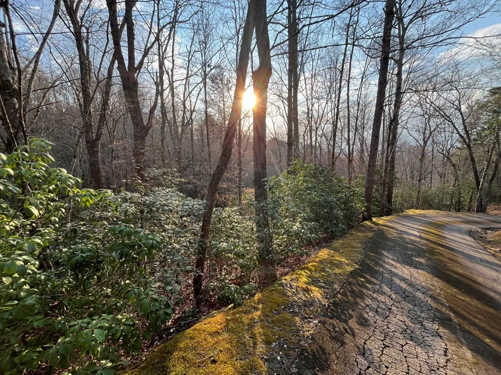 Canvasback Ct Whittier, NC 28789