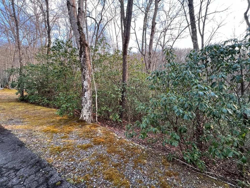 Canvasback Ct Whittier, NC 28789