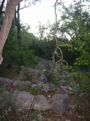 17550 County Road 175 Helotes, TX 78023