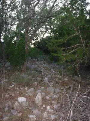 17550 County Road 175 Helotes, TX 78023
