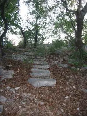 17550 County Road 175 Helotes, TX 78023