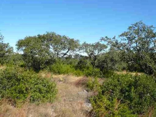 17550 County Road 175 Helotes, TX 78023