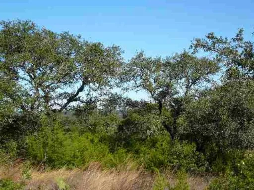 17550 County Road 175 Helotes, TX 78023