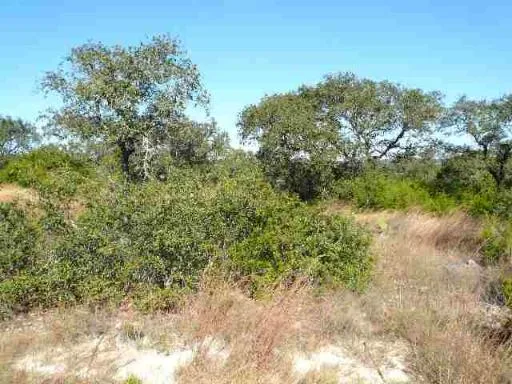 17550 County Road 175 Helotes, TX 78023