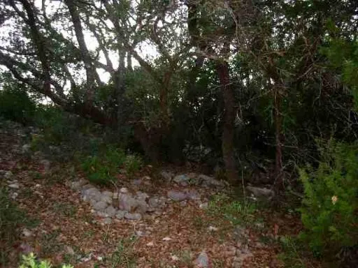 17550 County Road 175 Helotes, TX 78023
