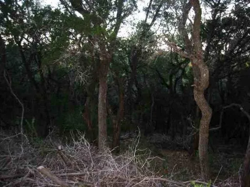 17550 County Road 175 Helotes, TX 78023
