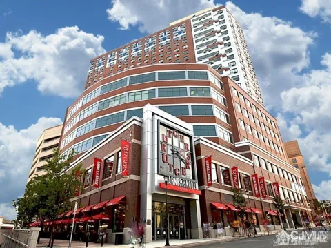 110 Somerset Street #2109