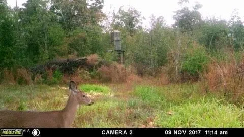 Near 523 Culbreth Smith Road Elizabethtown, NC 28337