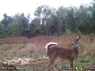 Near 523 Culbreth Smith Road Elizabethtown, NC 28337