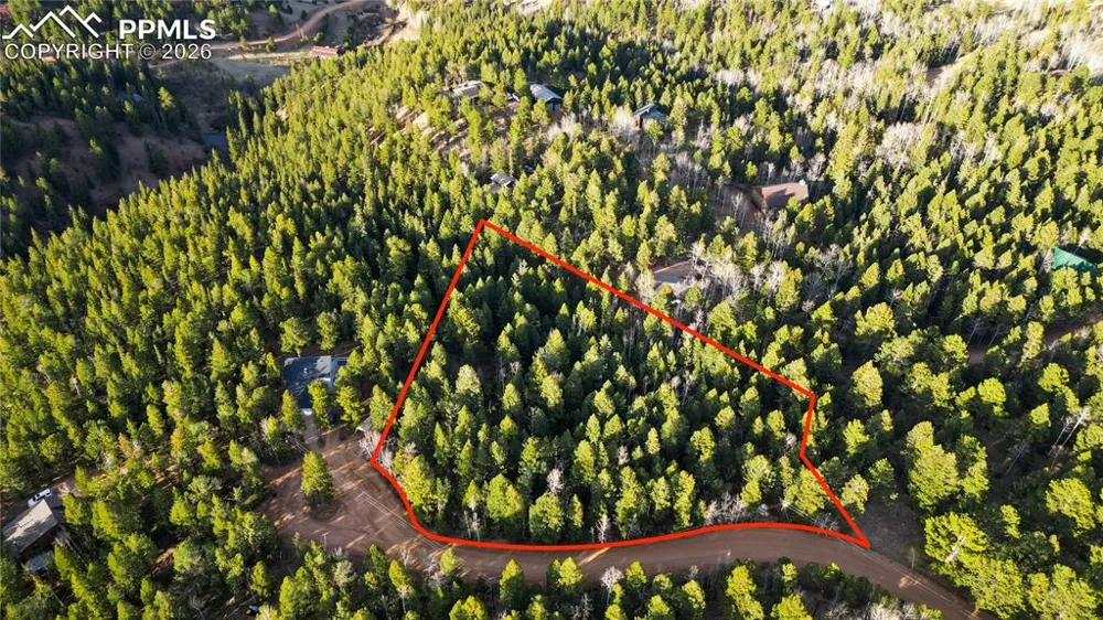 68 Yale Place Woodland Park, CO 80863