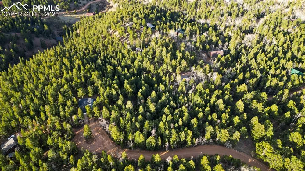 68 Yale Place Woodland Park, CO 80863