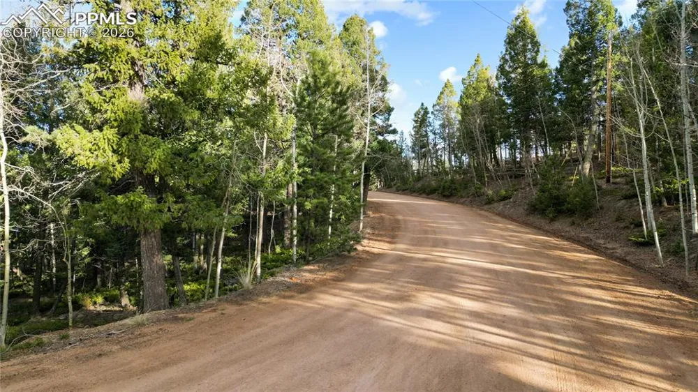 68 Yale Place Woodland Park, CO 80863