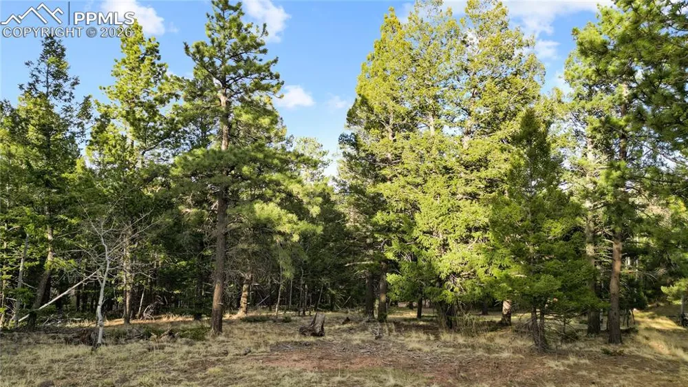 68 Yale Place Woodland Park, CO 80863