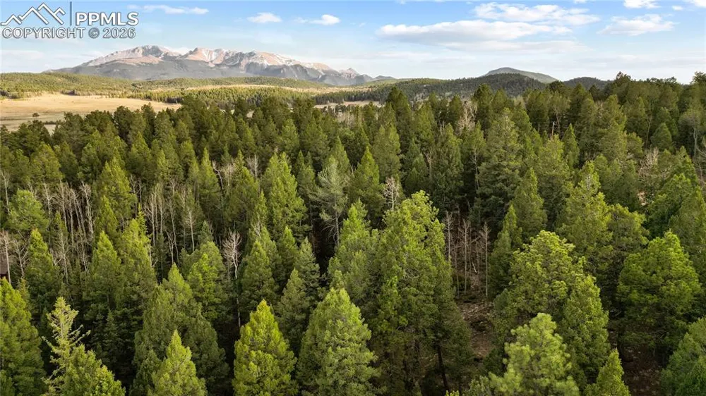 68 Yale Place Woodland Park, CO 80863
