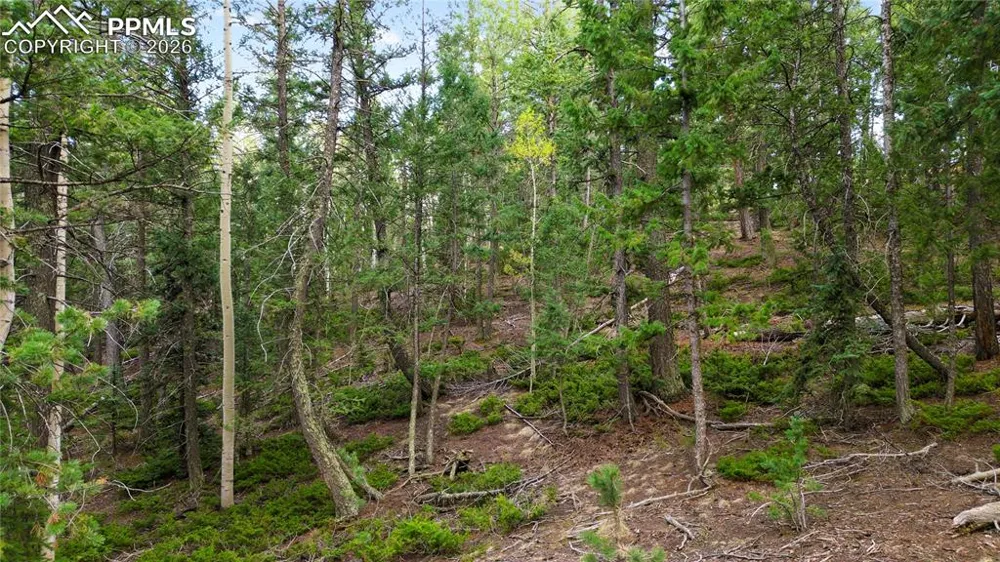 68 Yale Place Woodland Park, CO 80863