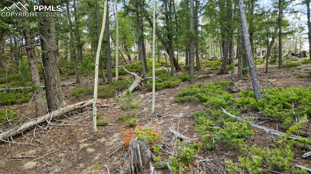 68 Yale Place Woodland Park, CO 80863