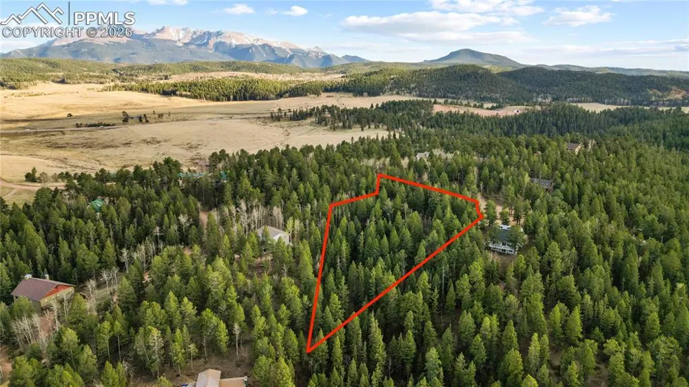 68 Yale Place Woodland Park, CO 80863