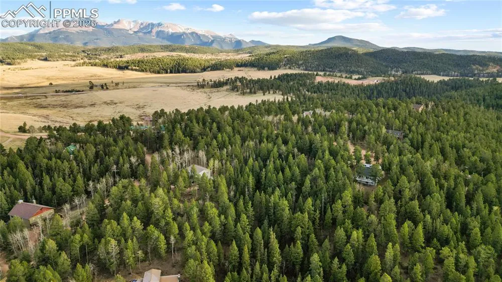 68 Yale Place Woodland Park, CO 80863