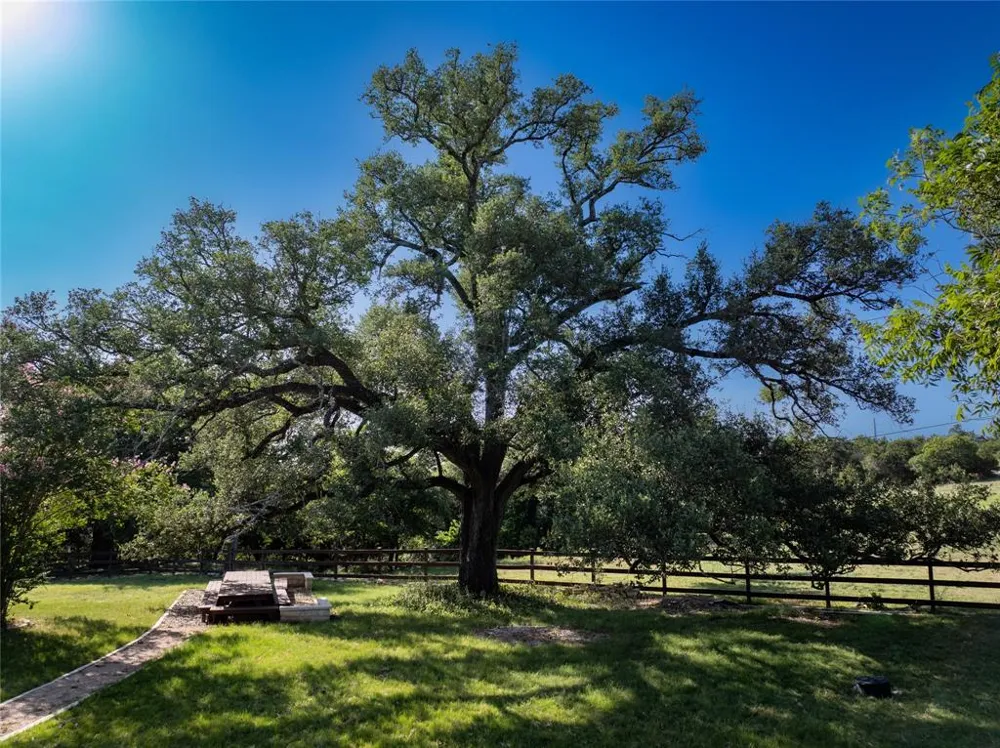 Fm-1431 Cedar Park, TX 78641