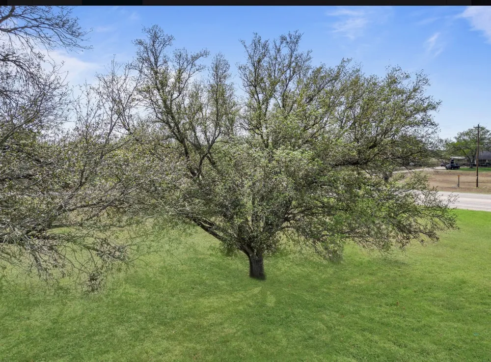 1900 Chukar Street Floresville, TX 78114