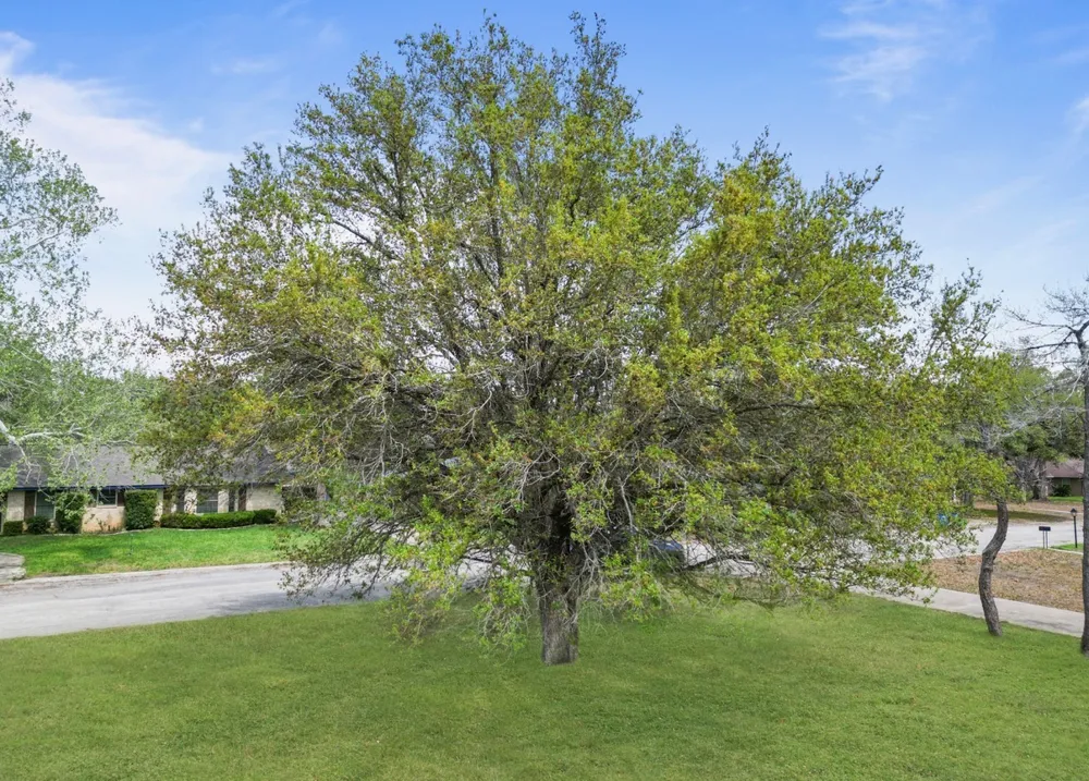1900 Chukar Street Floresville, TX 78114