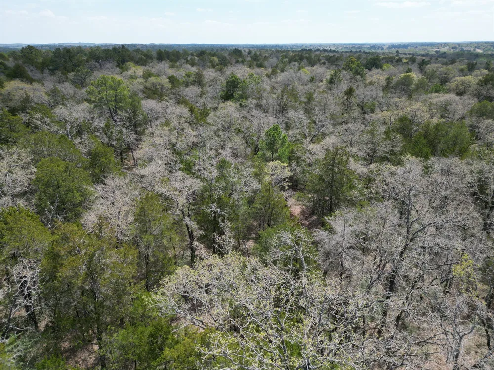 797 Marlin Street McDade, TX 78650