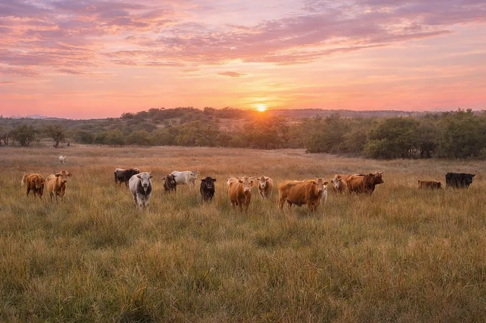 Limestone Hollow Wimberley, TX 78676