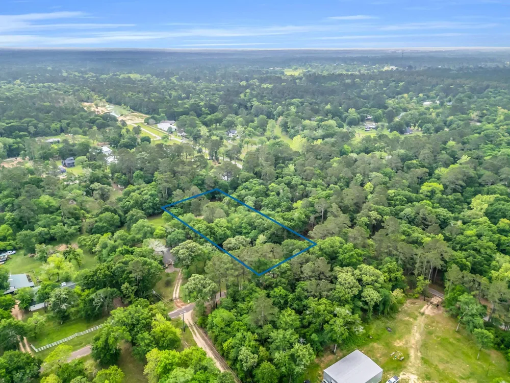 24466 Pine Creek Road Hockley, TX 77447