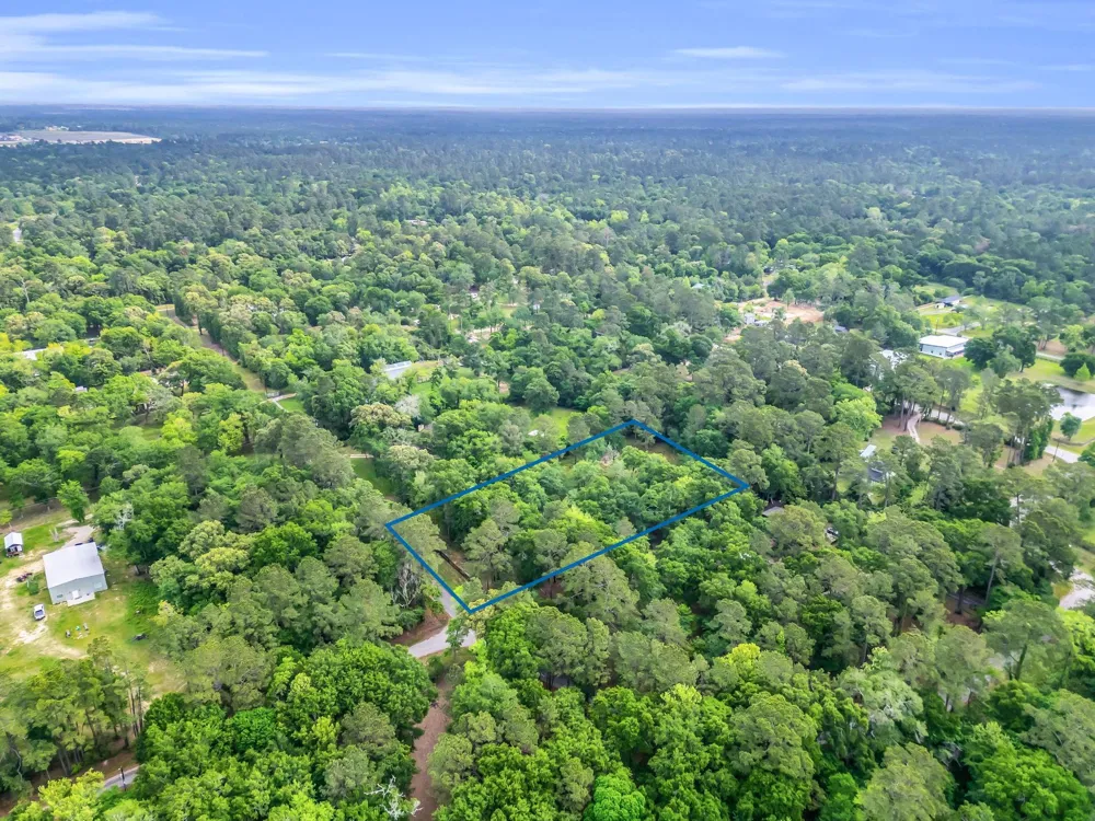 24466 Pine Creek Road Hockley, TX 77447