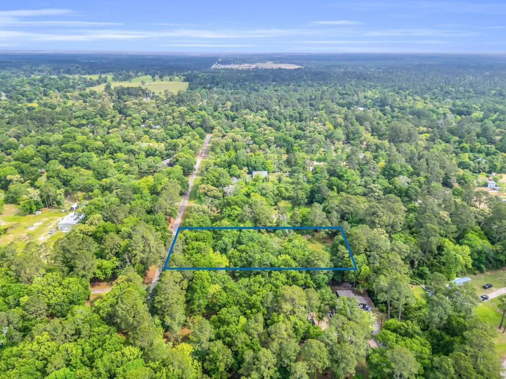 24466 Pine Creek Road Hockley, TX 77447