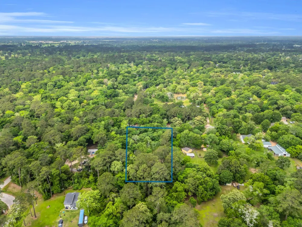 24466 Pine Creek Road Hockley, TX 77447