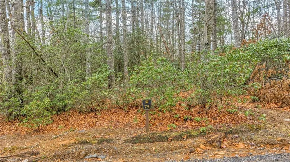 75 Trailwood Drive West Jefferson, NC 28694